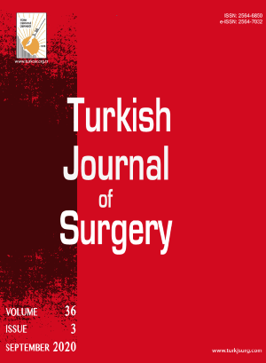 Turkish Journal Of Surgery