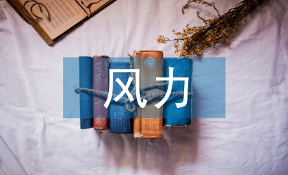 淺談風(fēng)力發(fā)電機(jī)控制系統(tǒng)設(shè)計